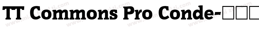 TT Commons Pro Conde字体转换